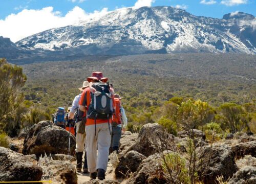 10 Days Mt Kilimanjaro Climbing: Lemosho Route