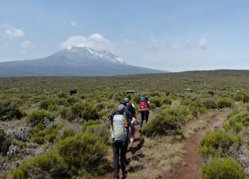 16 Days Kenya, Tanzania Safari & Mt. Kilimanjaro Climbing