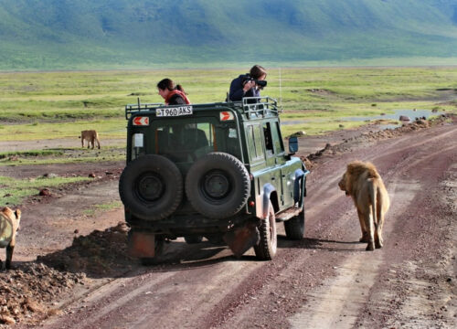 3 Days Lake Manyara & Ngorongoro Safari
