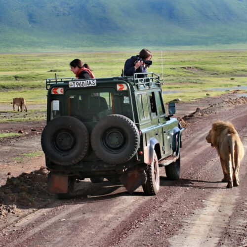 3 Days Lake Manyara & Ngorongoro Safari