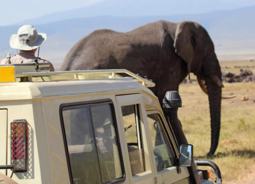 10 Days Tanzania Safari & Zanzibar Beach Holiday