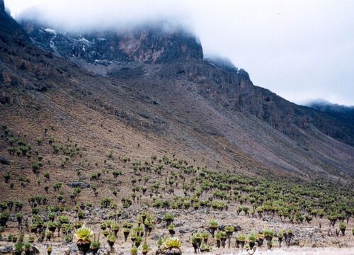 4 Days Mt Kenya Hiking: Chogoria – Sirimon Route