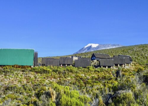 8 Days Mt Kilimanjaro Climbing: Marangu Route
