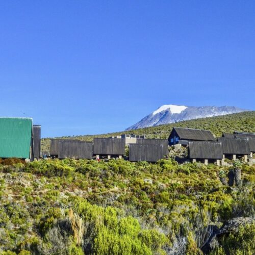 8 Days Mt Kilimanjaro Climbing: Marangu Route