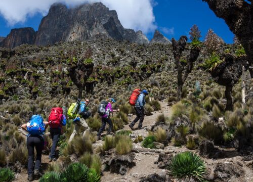 6 Days Hiking Mt Kenya: Chogoria – Sirimon Route