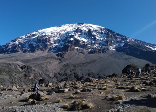8 Days Mt Kilimanjaro Climbing: Shira Route