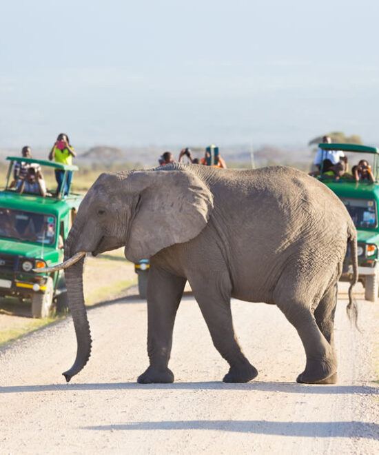 Why Luxury Travel is Becoming More Popular among Young Professionals