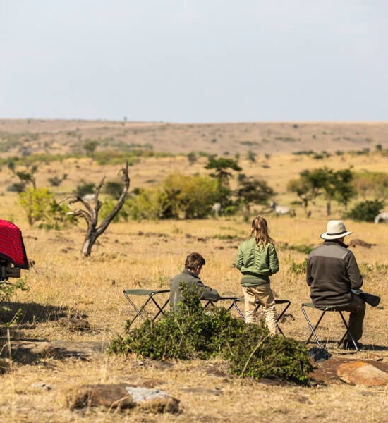 Best Time to Visit Masai Mara National Reserve: Ultimate Guide
