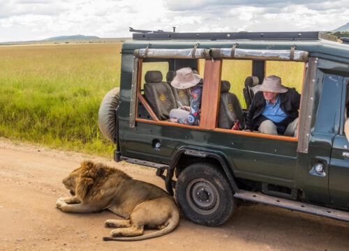 Planning a Trip to Kenya in 2027? Entry Requirements, Travel Documents, and What to Prepare Before You Arrive