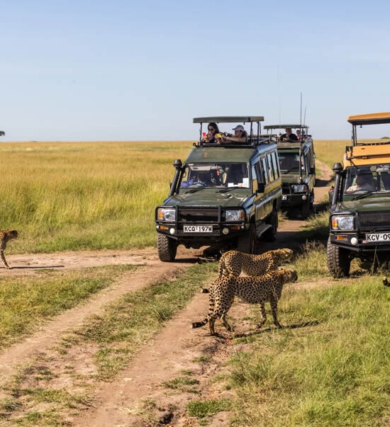 4 Days Wild Escape Safari to Masai Mara
