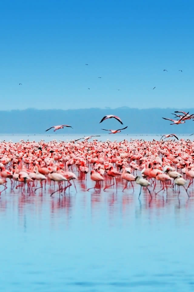 Lake Nakuru National Park