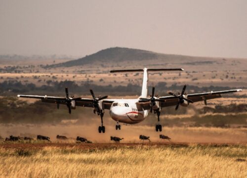 2 Days Masai Mara Air Safari