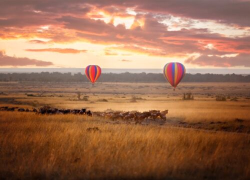 3 Days Masai Mara National Reserve Flying Safari
