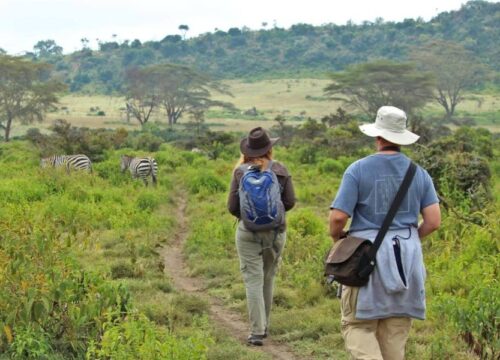 Mt Longonot Hiking Trip