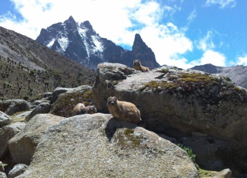 4 Days Mt Kenya Climbing: Naro Moru – Sirimon Route
