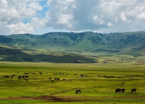 3 Days Ngorongoro Crater Tanzania Safari