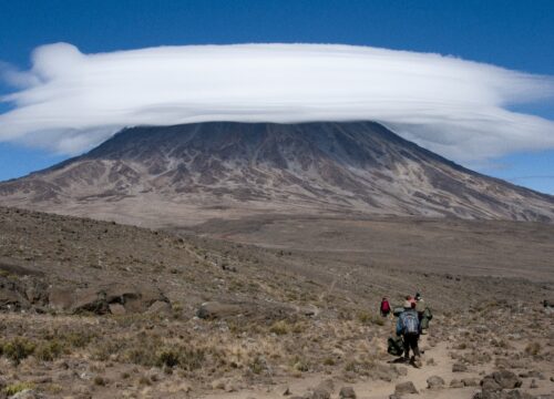 8 Days Mt Kilimanjaro Climbing: Rongai Route