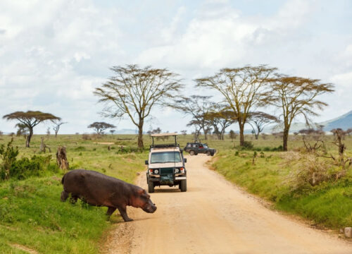 5 Days Lake Manyara, Ngorongoro & Serengeti Safari