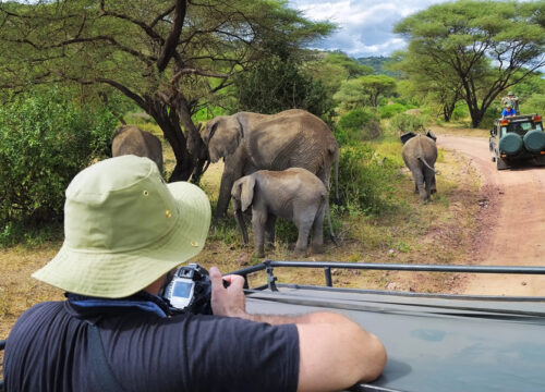10 Days Best of Kenya & Tanzania Lodge Safari