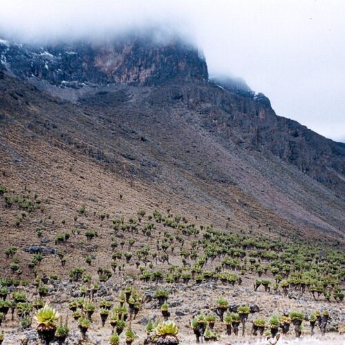 4 Days Mt Kenya Hiking: Chogoria – Sirimon Route