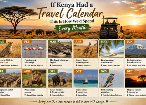 If Kenya Had a Travel Calendar, This Is How We’d Spend Every Month