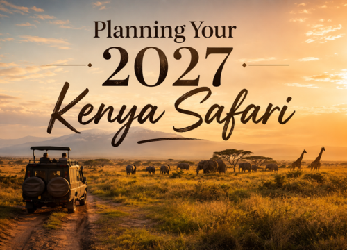 Planning Your 2027 Kenya Safari? Here’s When You Should Actually Start