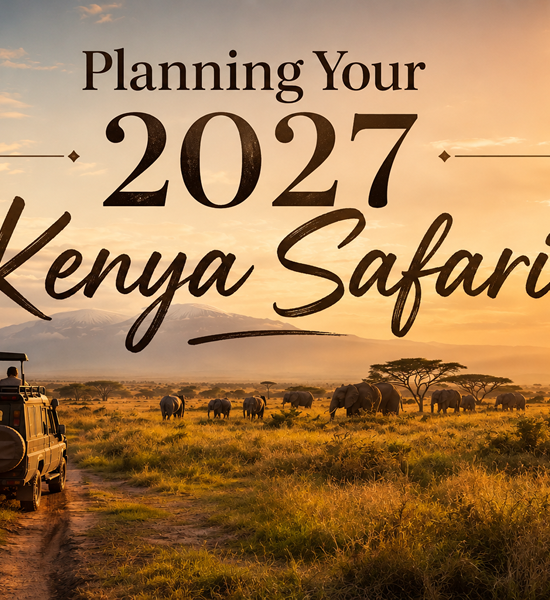 Planning Your 2027 Kenya Safari? Here’s When You Should Actually Start